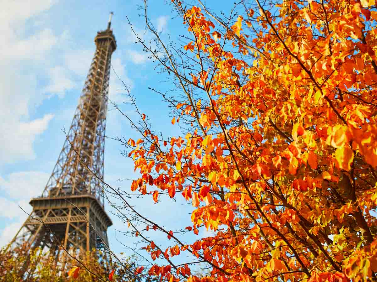 Paris in fall