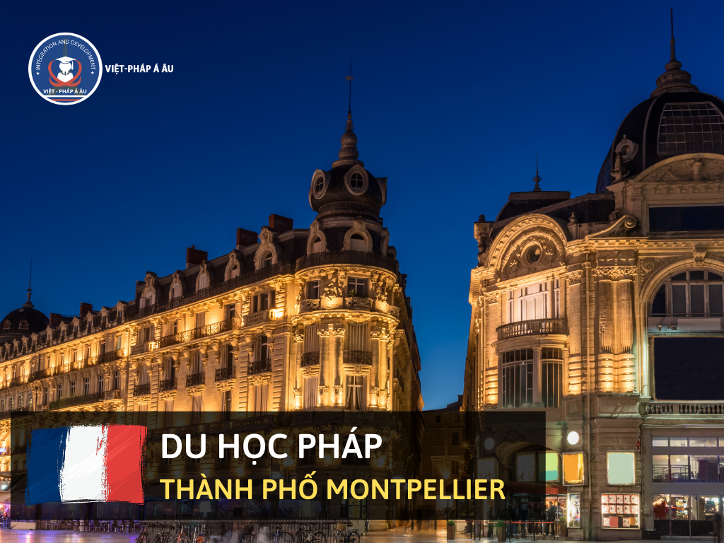24fb_du20hoc20phC3A1p20thanh20pho20montpellier.png