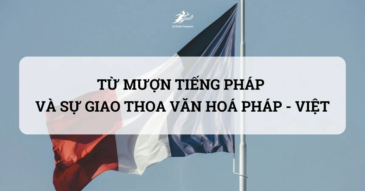 655466890764bf6513d11648_tu-muon-tieng-Phap.webp.webp
